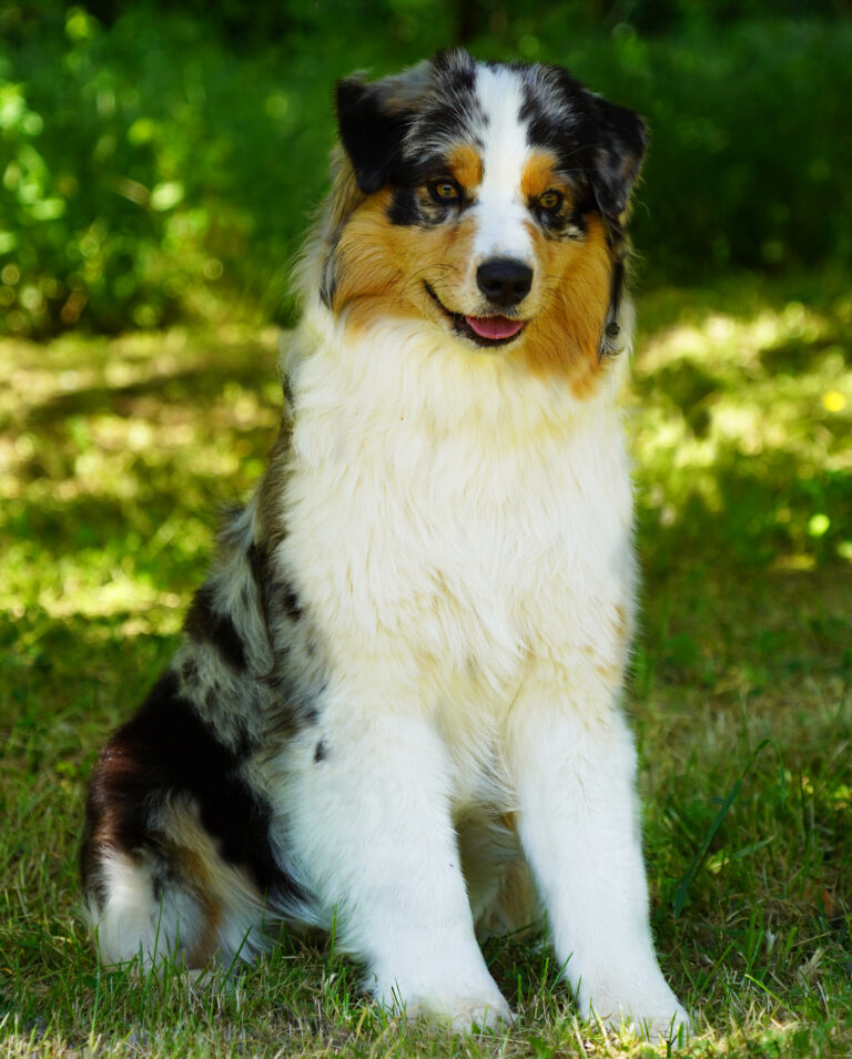 liho potrait 9 mois 2