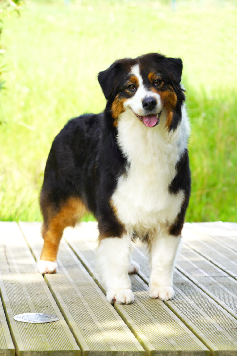 abyss 4 ans